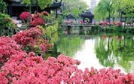 杭州地接旅游線路全解析 杭州美達(dá)國際旅行社與杭州國際旅行社服務(wù)指南